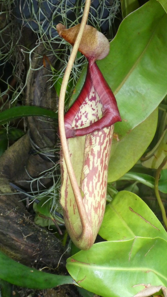 4DCAA823-E076-40B0-9C93-2AC86701B689