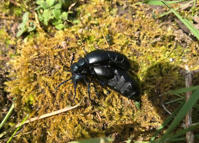 4F5B9B85-6E67-4E23-8912-0A5888FA2ADE