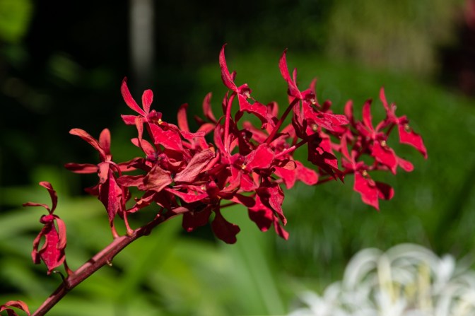 5103B472-6034-4B22-AF67-5CCFF762C0C5