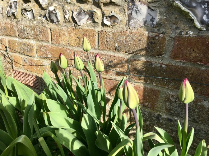 511265D0-FD2F-4AEC-9558-778CDAA1CCEC