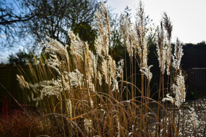 53122325-3FA9-4640-9A2D-D034459F7EB9