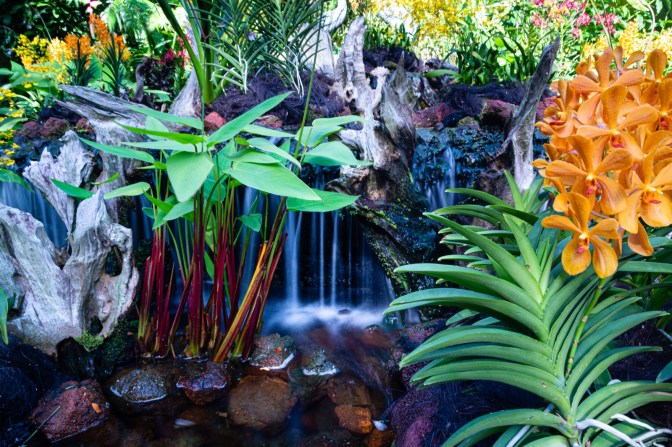 635073A0-AFEB-4E4A-BE9E-373AF6CBE135