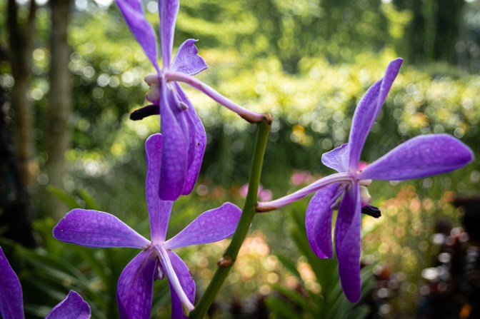 63D20AFA-067A-4C05-82CC-699AE7A00F63