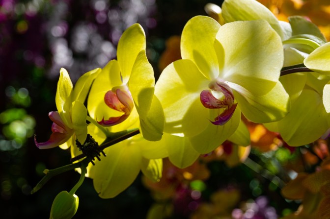 81256C3D-F972-446E-9BE7-314412691AC2