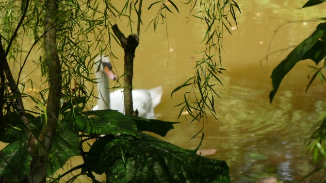 B1E26892-31B7-4758-8CE5-80A94A4F2F8C