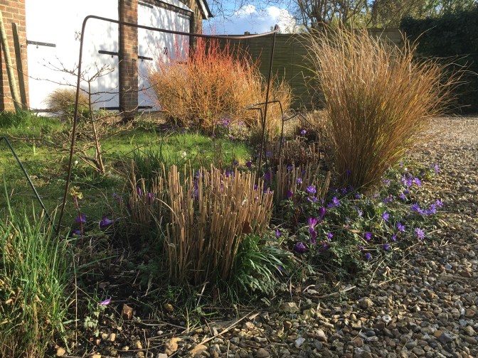 B2FC35EC-6EC9-4581-94BC-1B831A75ADE4