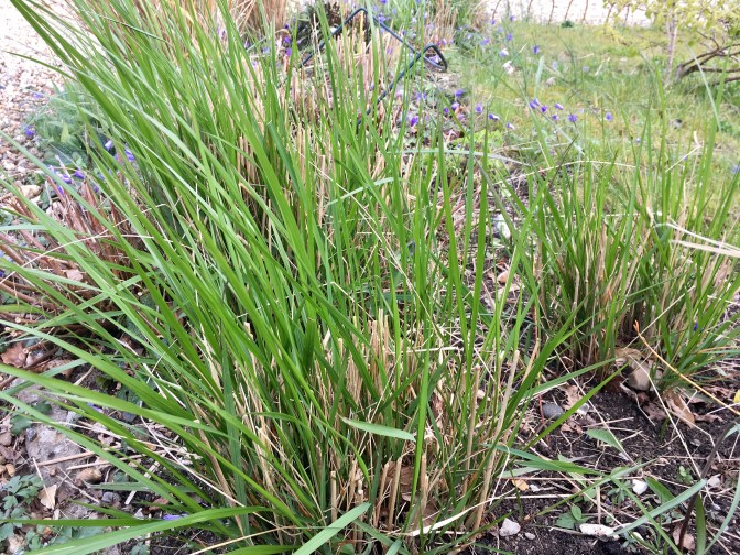 B6DA9258-D44D-4E39-BD03-F51F5DFB6F28