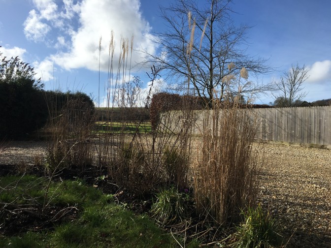 B7350EDE-F642-4B66-8686-0D46AE5CFB93