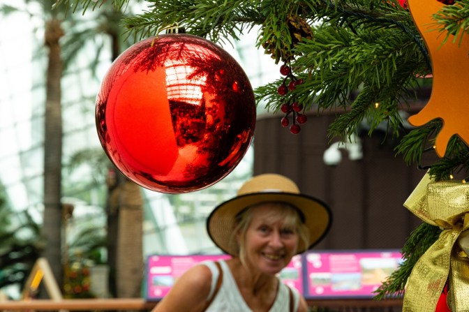 BB6C7D42-1284-4AFC-8E94-5D156C4EB403