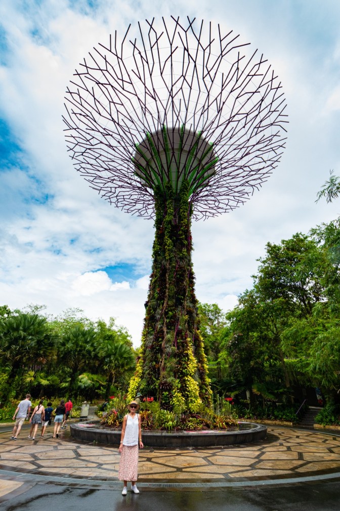 C6E5223C-9978-484D-A340-C4E32DAF548D