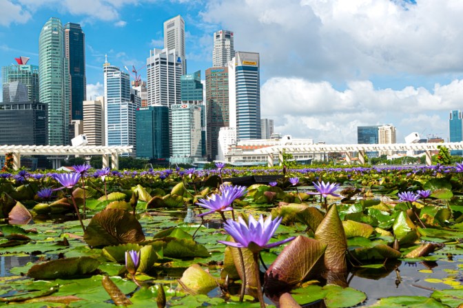 D691A1C0-9352-40BE-8713-F38333EAC107