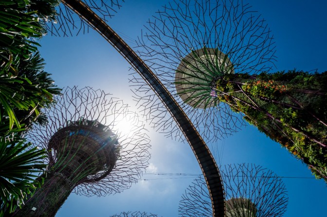 E1BC3D45-876E-4FD7-A974-B66B0734253F