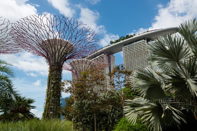 E9E36EFC-B968-4721-BD1E-EF9AEC06E7CC