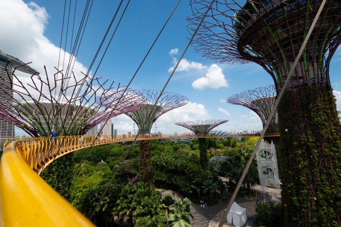 EBF4E641-2FBA-459D-A648-5E05ECF8837E