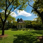 Singapore pre Coronavirus Part 2