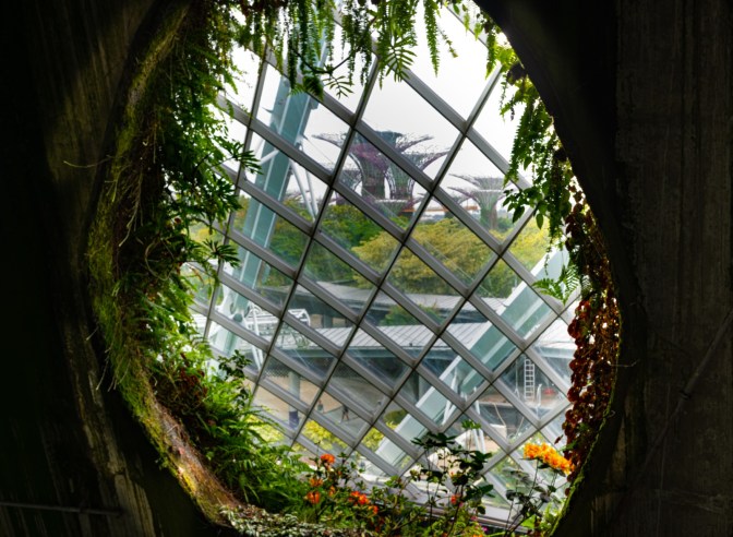 F52F852F-B65C-4A80-B896-069E3BAF222B