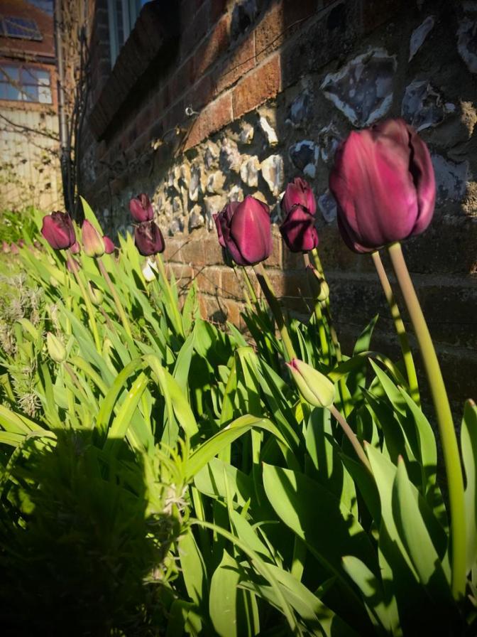 00103674-C022-44C2-ABCC-14341FC9B729