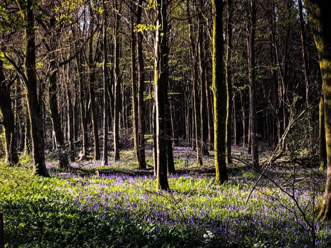 1918693C-EBB5-4226-800F-F4FF83CBB9CA