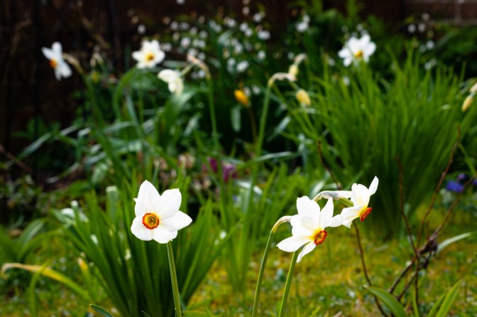 31C1958C-25C6-4E68-A2BB-5AE153ACD30B