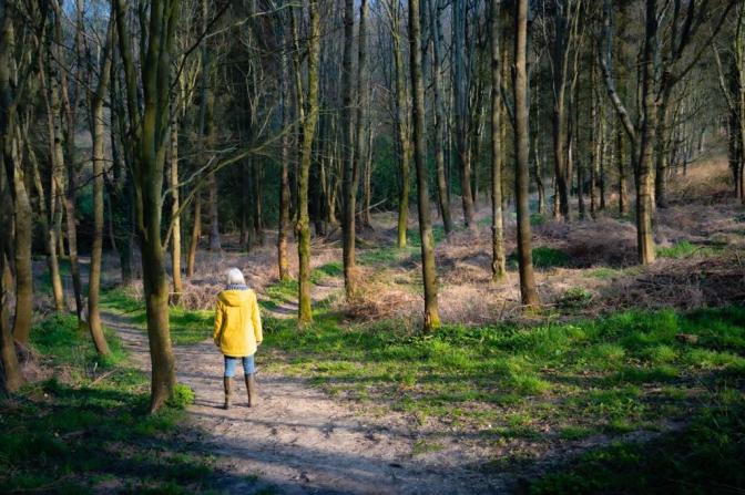 42816863-52D3-44EA-BF7C-A0C4C7DA620E