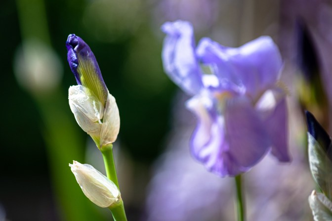 47368137-6056-481B-A00B-70F30FC11219