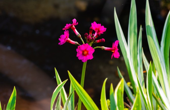 48A270EB-4055-47DE-85F7-EAE539F2E9DF