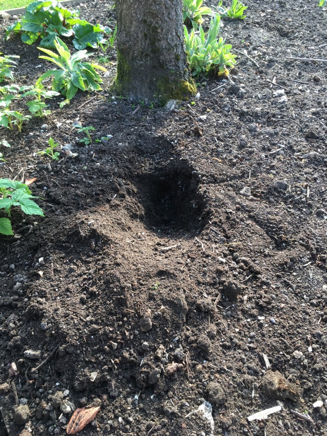 4C9DFBC2-0608-4F21-9181-AAF48AA7C2F2