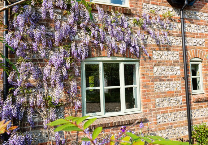 51A508D4-9E44-4138-A4DE-CCEF9970545A