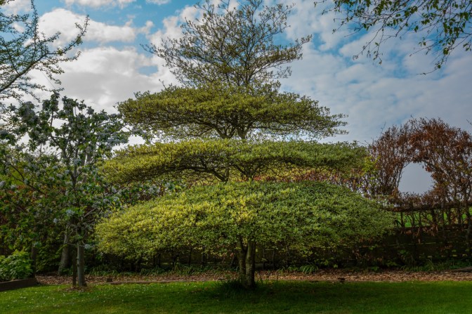 59267591-0FE3-413E-984F-212BDBF03F24