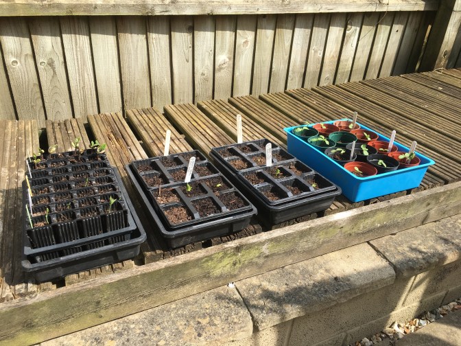 5A941B0E-1025-4C3F-AC09-3307C036E8EF