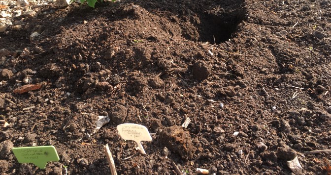 6F1433A4-4C62-4C0D-A7E1-FCF2E7927F85