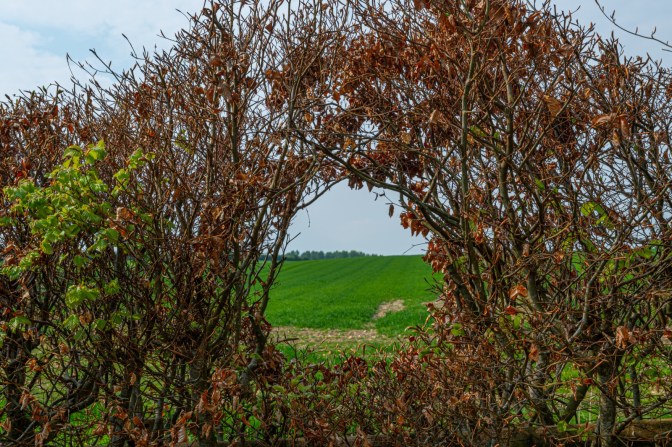 75E490D1-52E6-42AC-962F-56A11496C84F