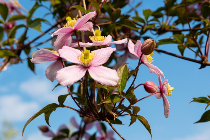 7BB3199D-B8D1-4547-917F-776836DF6537