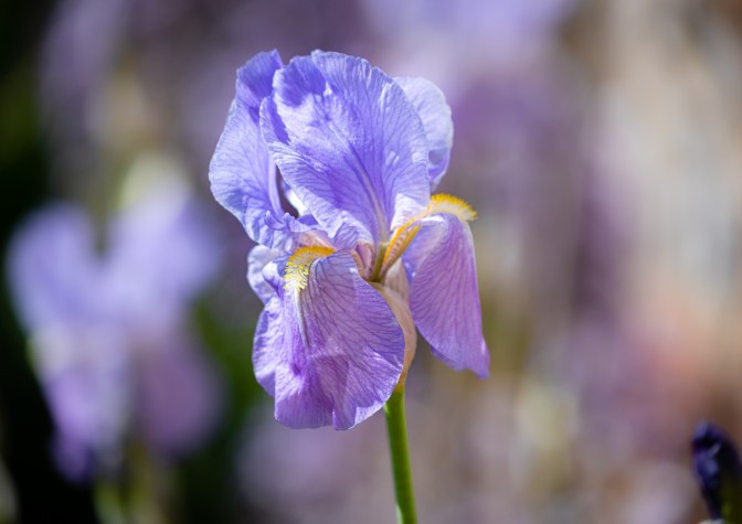 818D2A6E-08D5-486F-89A5-2E6FE36B4898