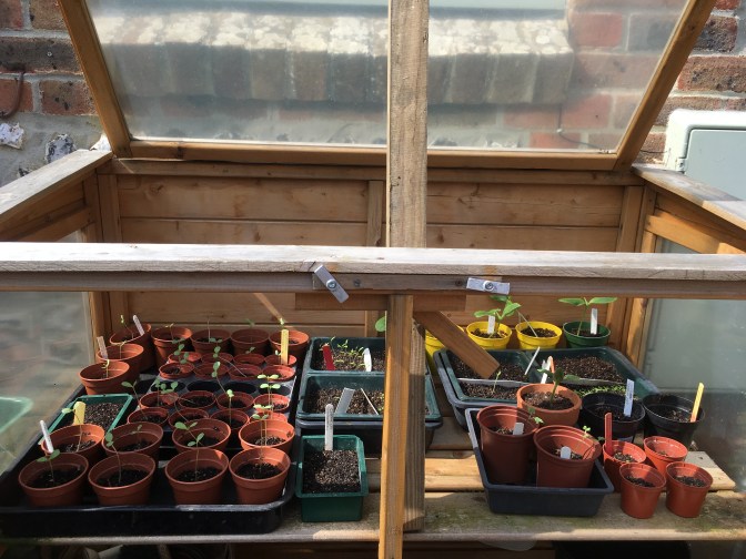 81ED72A7-9B88-4EA4-AFDF-626073620BE2