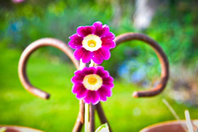 873E78F5-FF3E-490D-BAF4-ACA4F08018FC