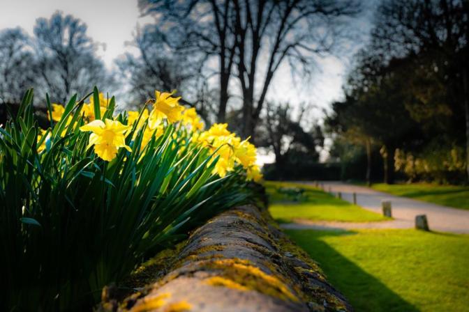 893B3E05-6640-4911-BC04-F8F78B4BCD1C