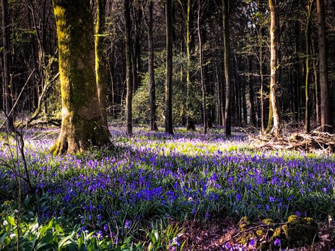 8E3704AC-FEEA-4B38-8CCE-070E667F2C84