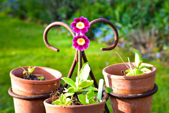 931D13F7-773C-4C43-AE26-B2BABDA7E9D5