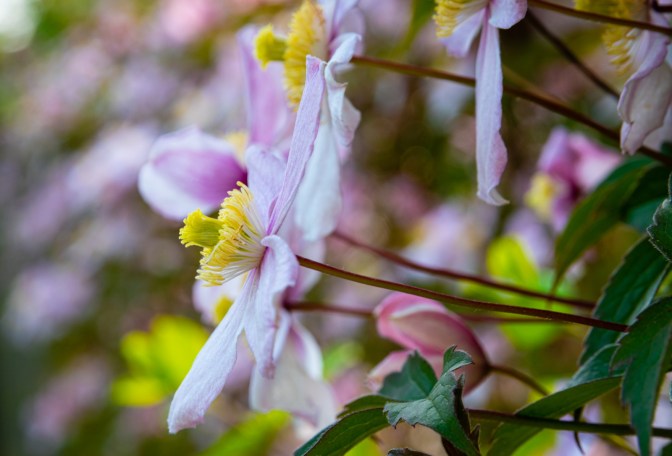 9365DBF0-975C-4BB7-A174-EF0840C447E1