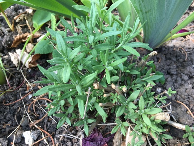 96C7DB66-CDFA-48B6-8A99-EE9533A45CCC