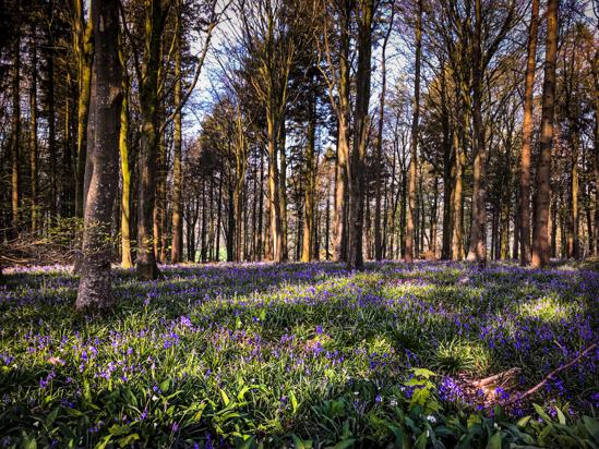 B3B2D47A-7909-4231-9E23-7FB5DF1E0CD1