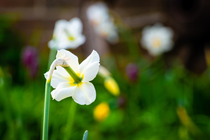 B41F6AF0-6595-4F75-B7C6-AC972725F3A8