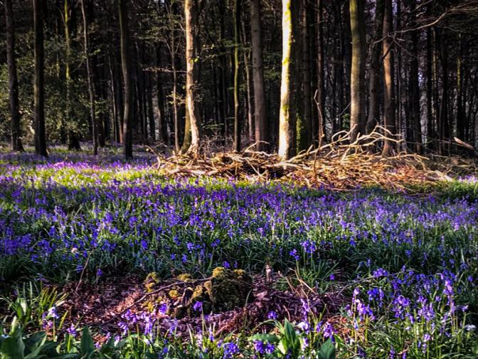 C718C947-EE4E-41DC-86D5-61053CFAA70A