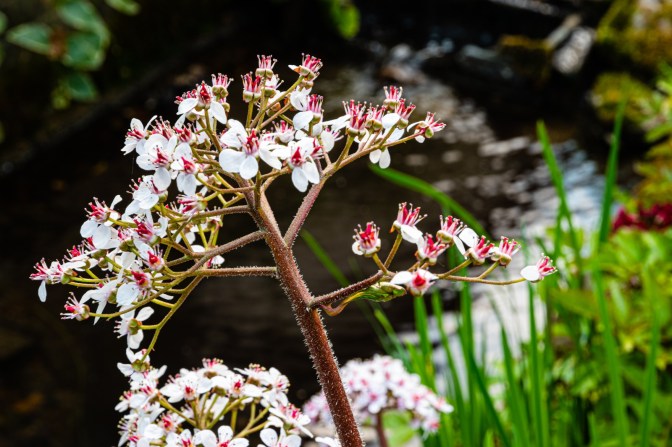 F70E09B1-372F-4589-9CF6-70C793A192D9