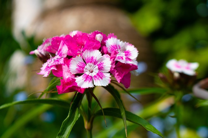 03A64F87-76C4-44D9-B059-CE5B873CC140