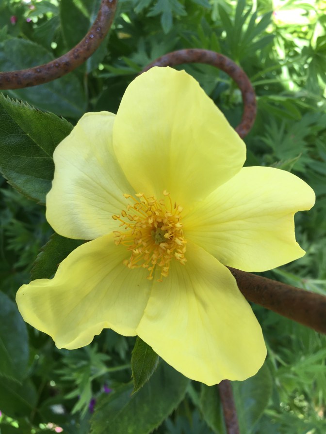 0F33C90A-B19D-4E04-99B8-617C007373C5