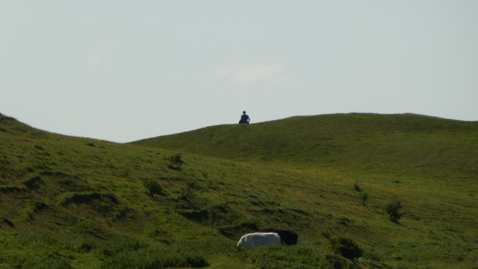 11D4AEE0-5834-42CE-A352-78BE64EDB96C