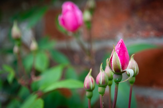 12AD7FCC-43BD-4298-B567-E2F9F553D9E7