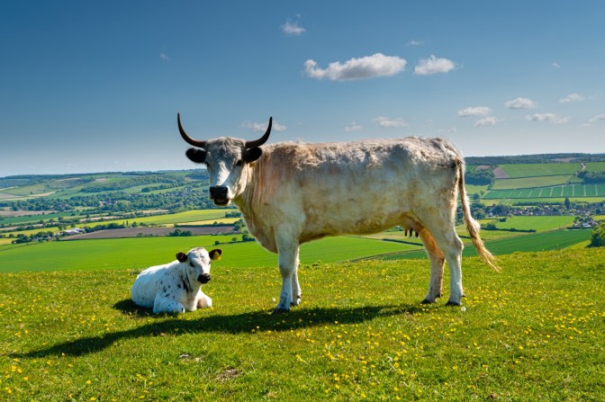 13D9CF2B-3EEF-4D03-9601-E4D71B45E1DB